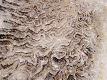 Cartographie