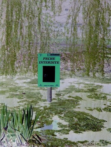 Pêche interdite
