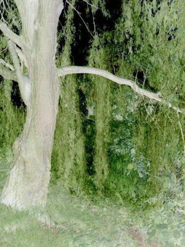 Derrière les branches