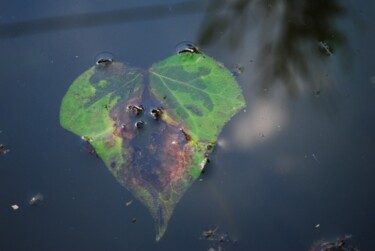 Nature à coeur